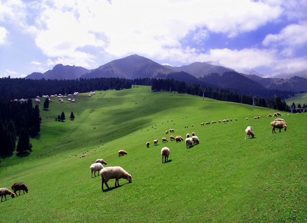 【西北五省之旅—空調(diào)專列14日游】寧夏 內(nèi)蒙 新