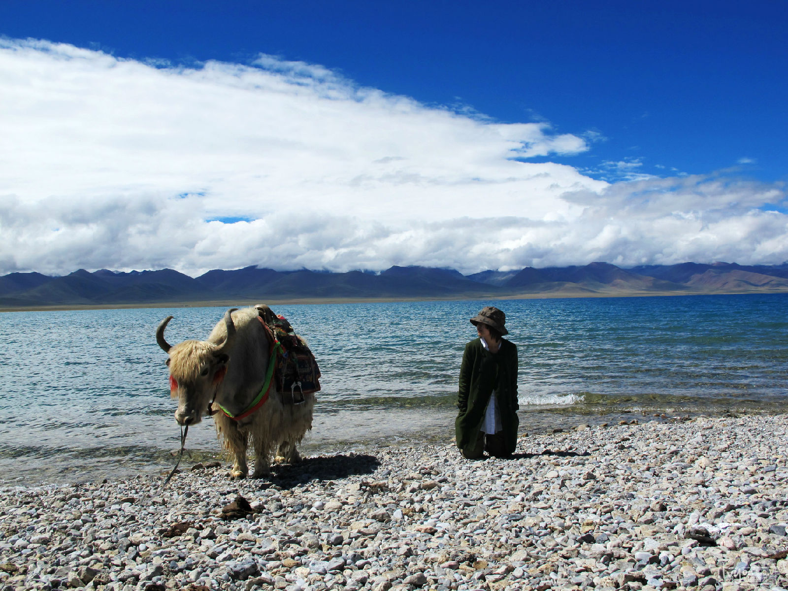 拉薩、林芝、日喀則、納木錯、波密然烏湖雙臥