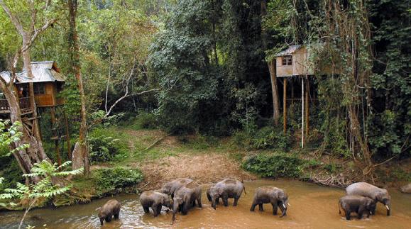 【云南環(huán)飛】昆明九鄉(xiāng)、西雙版納、中緬邊境三
