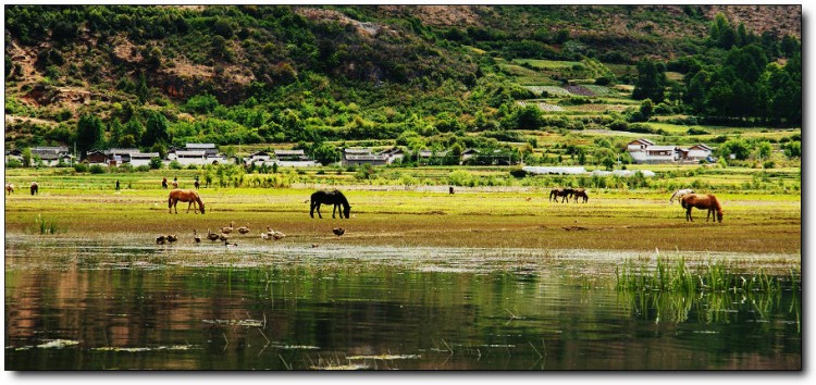 【大版環(huán)飛4星】昆明、大理、麗江、西雙版納