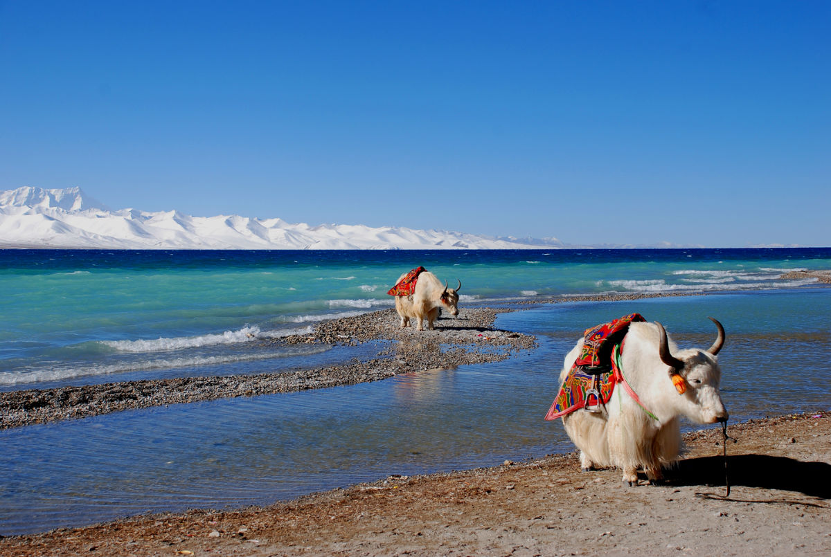 【北京成團(tuán)】拉薩林芝日喀則.納木錯(cuò).珠峰大本營