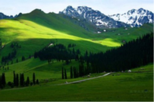 烏魯木齊 吐魯番 天池 那拉提草原 賽里木湖 巴音