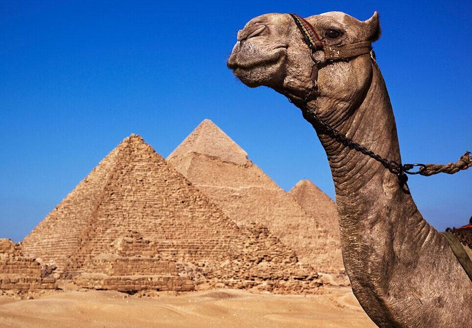 埃及、迪拜、阿布扎比10天