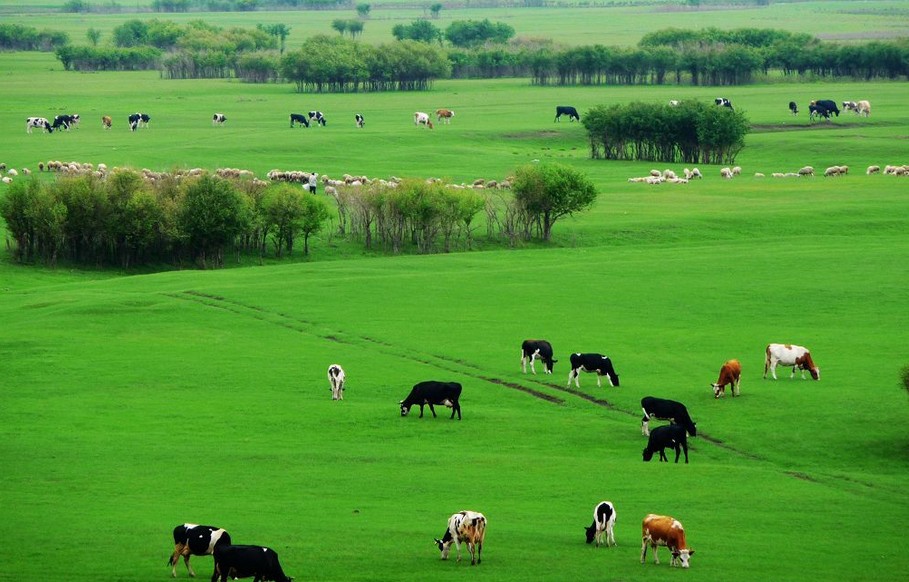 阿爾山、呼倫貝爾、滿洲里雙臥6日