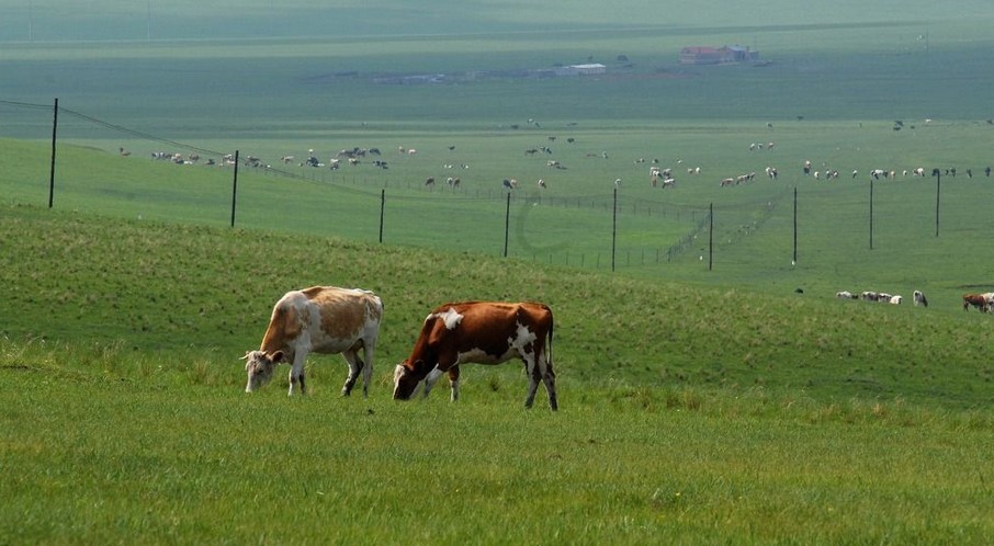 阿爾山國(guó)家森林公園、七仙湖草原雙臥5日