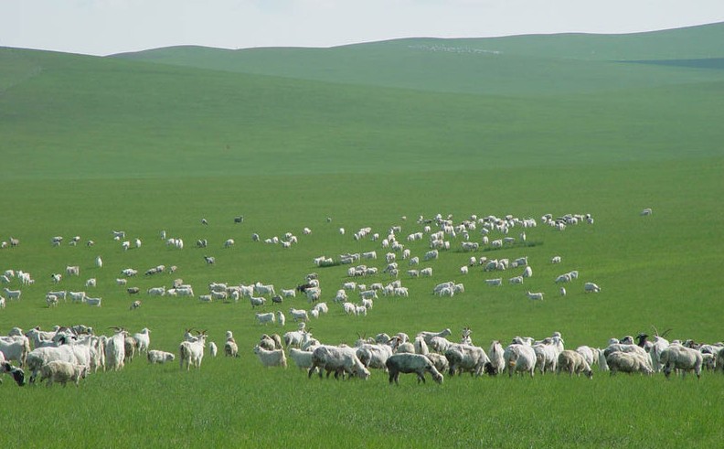 希拉穆仁草原、庫布其沙漠、席力圖召、成吉思