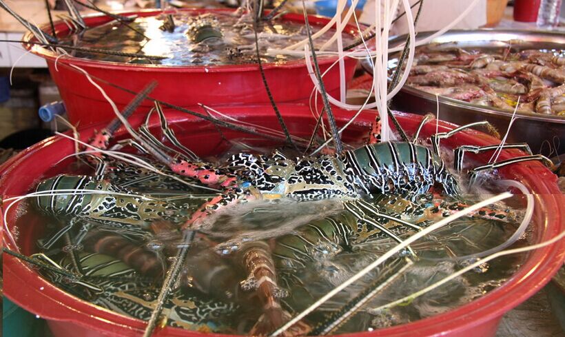 長灘島半自由行4晚6日<含領(lǐng)隊(duì)>風(fēng)帆出?？慈?/></a>
                  </div>
                  <p class=