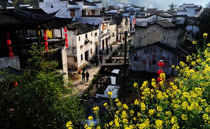 婺源、江嶺梯田、景德鎮(zhèn)雙臥4日**掛牌3星酒店