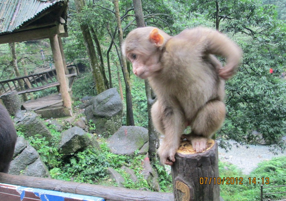 成都、**后的香格里拉——稻城亞丁 4飛5日游