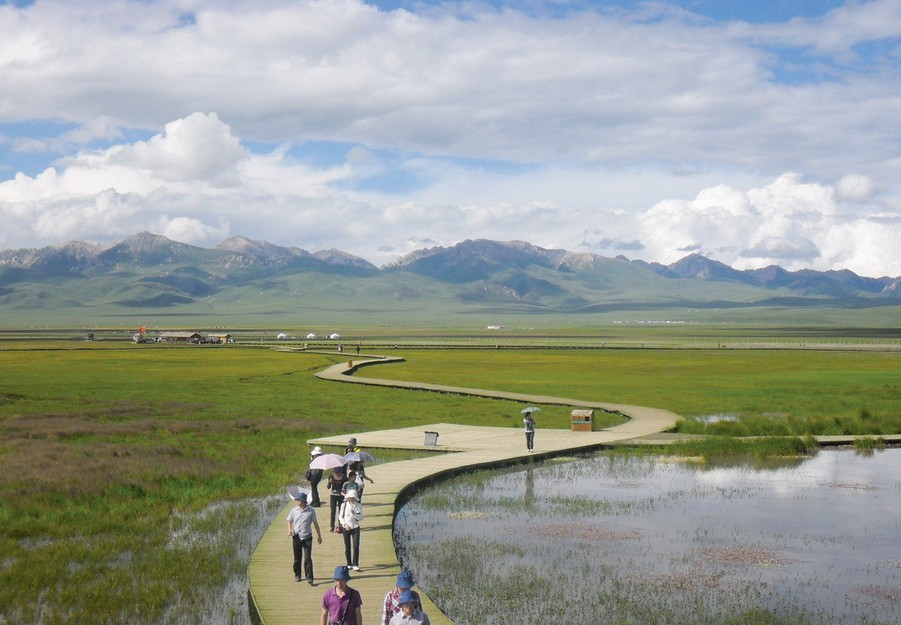 成都、花湖、若爾蓋、九曲第一灣雙飛5日