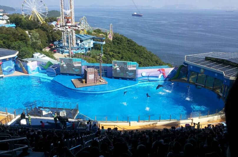 香港、澳門、香港1天自由行雙飛5日**四~五星酒店