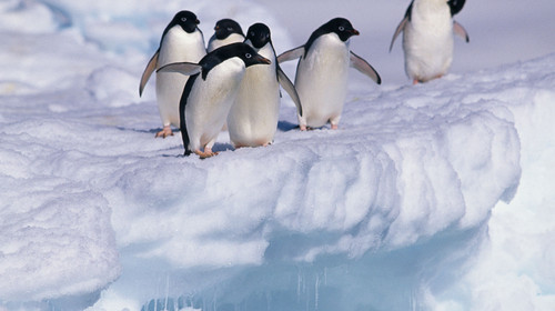 12月17日北京往返，南極攝影之旅